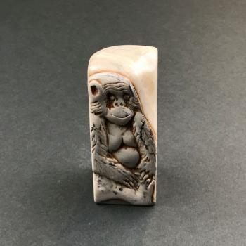 Monkey Brain / Natural Shou Shan Stone Carving